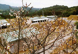 日吉工場